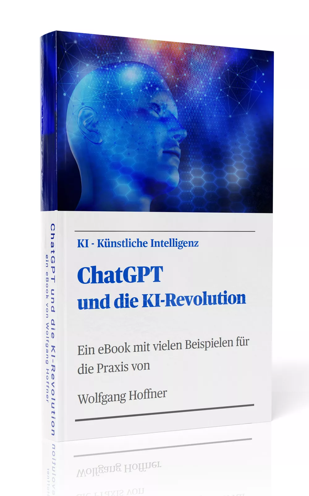 ChatGPT und die KI-Revolution, ein eBook mit vielen Beispielen für die Praxis
